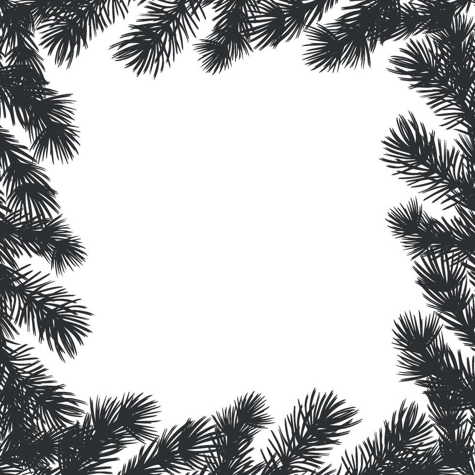 Pine tree branch. Christmas square frame. Fir twig with needles. graphic illustration for winter holiday background. Decorations for home interior. Festive template for card, winows, packaging. vector
