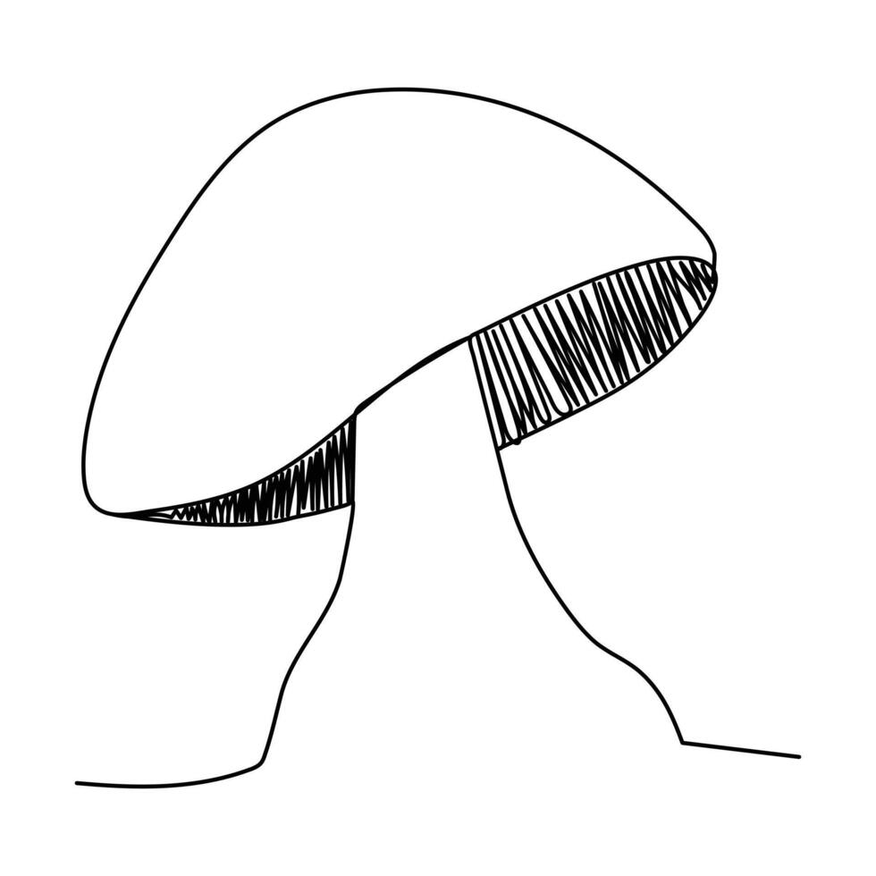 mushroom outline hand drawing sketch fungus line art vector