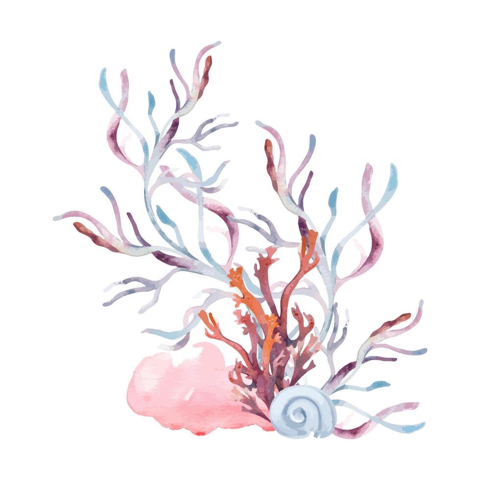 Underwater bouquet with seaweeds and coral reef on watercolor splash. Marine plants monochrome illustration hand drawn in a light pinks and blue. Bright abstract sea plants composition. Summer design. vector