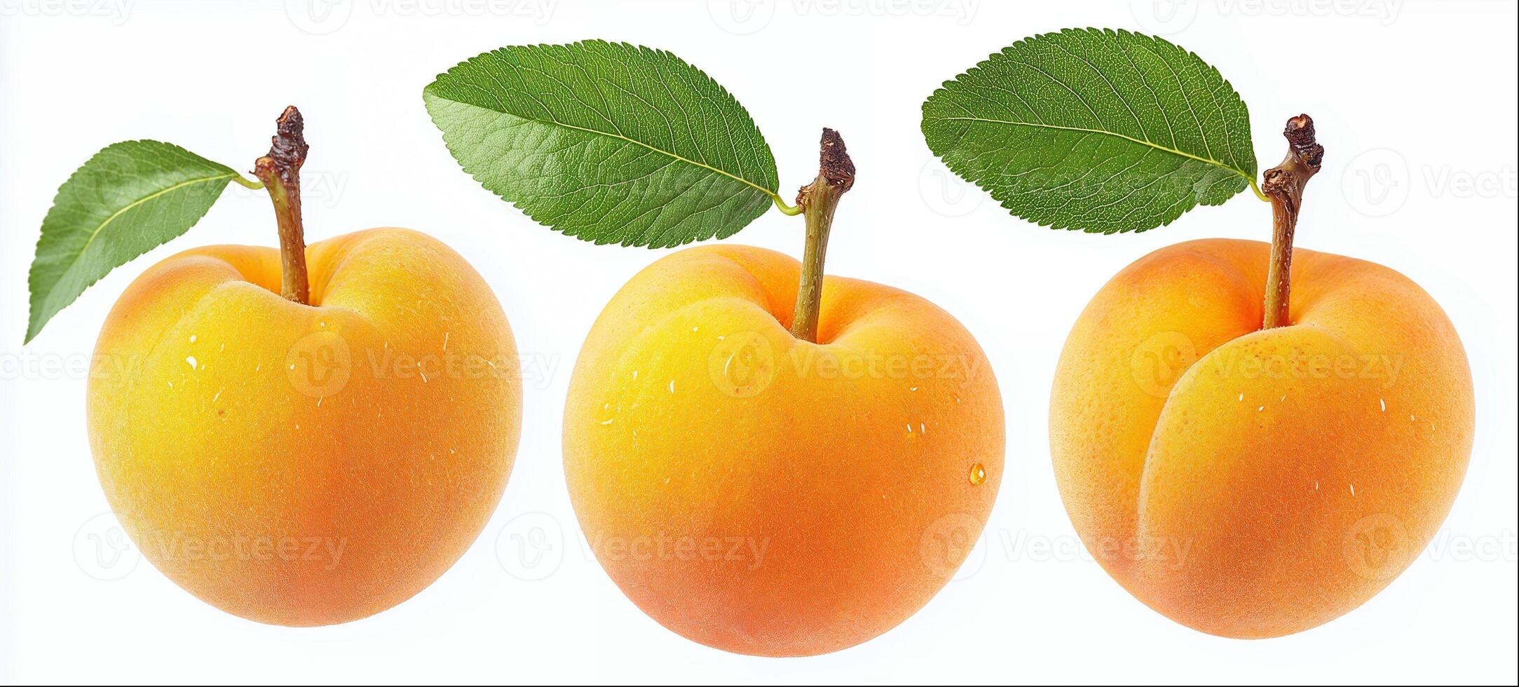 Apricot with leaf isolated on white background, hight detailed upscaled image photo