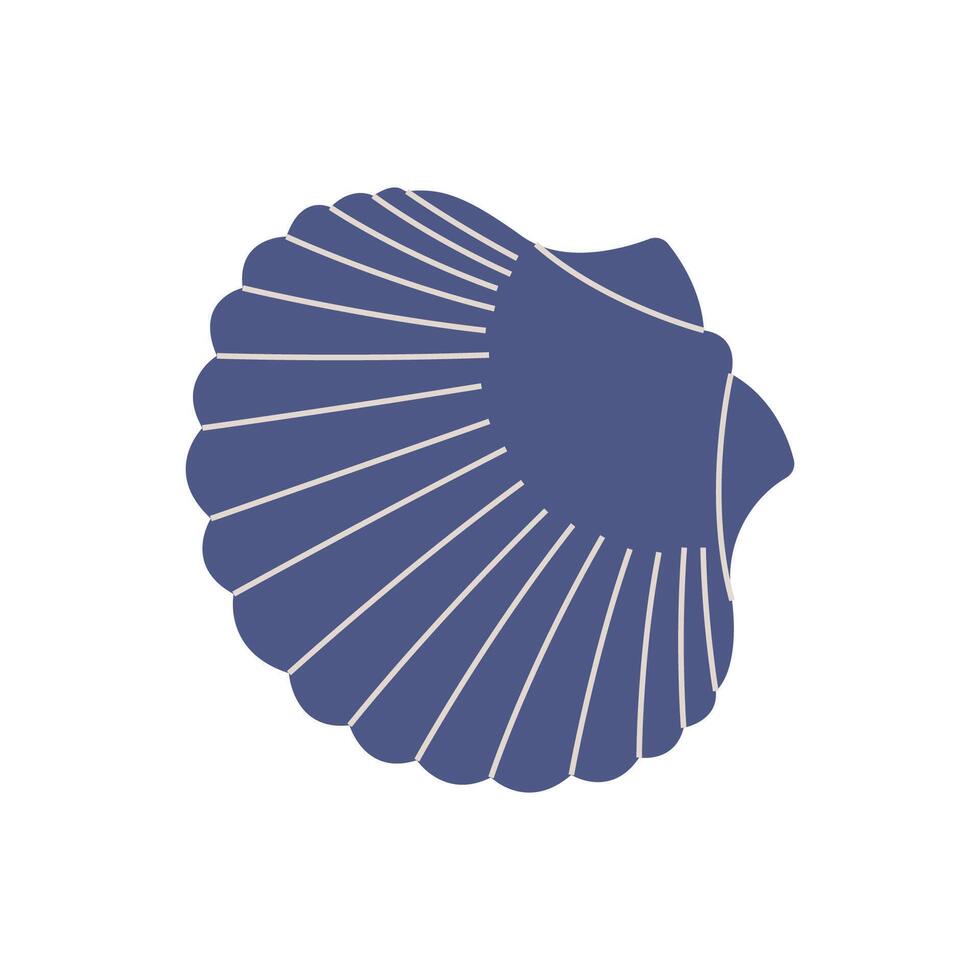 Hand drawn illustration of scallop seashell for summer and beach themed designs vector