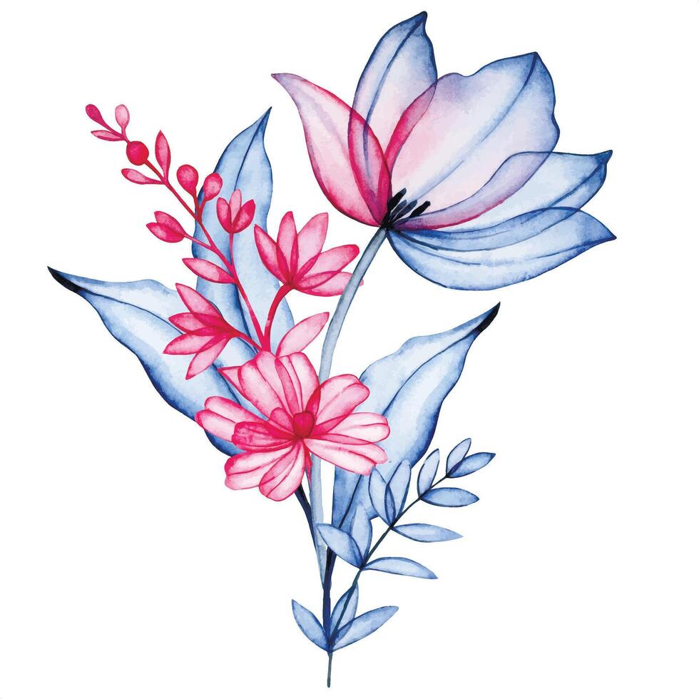 bouquet of transparent tulippan flowers, x-ray. elegant watercolor illustration in pink and blue vector