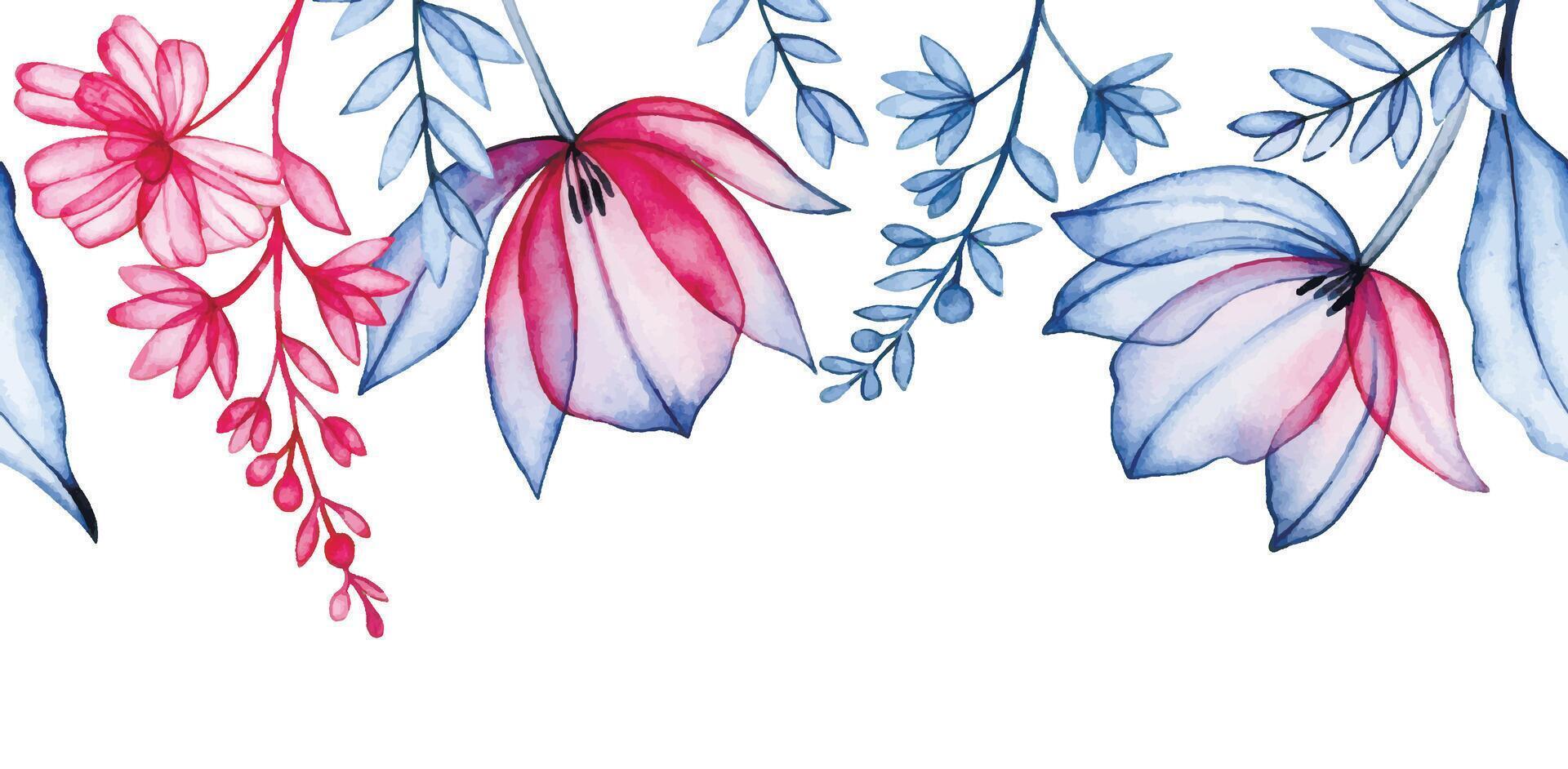 aquarelle seamless border of transparent tulips and wildflowers, x-ray. pink and blue frame vector