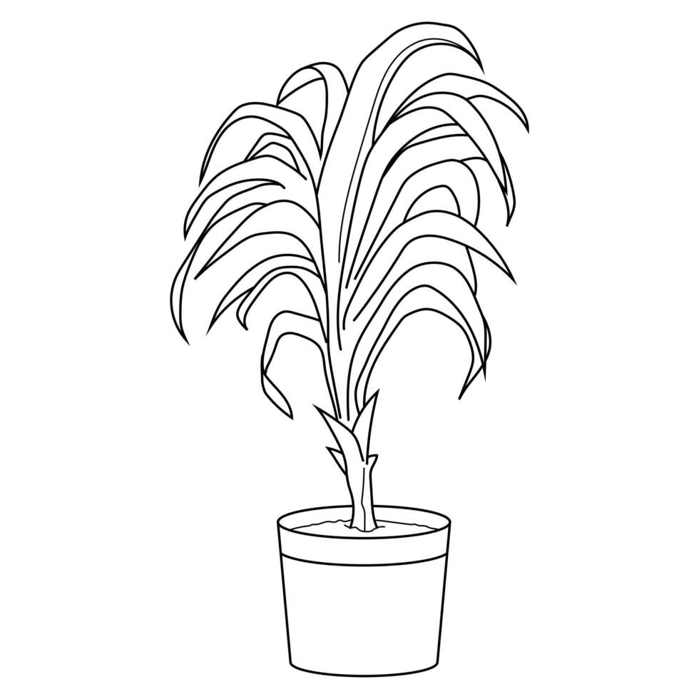 Plant in a pot. vector