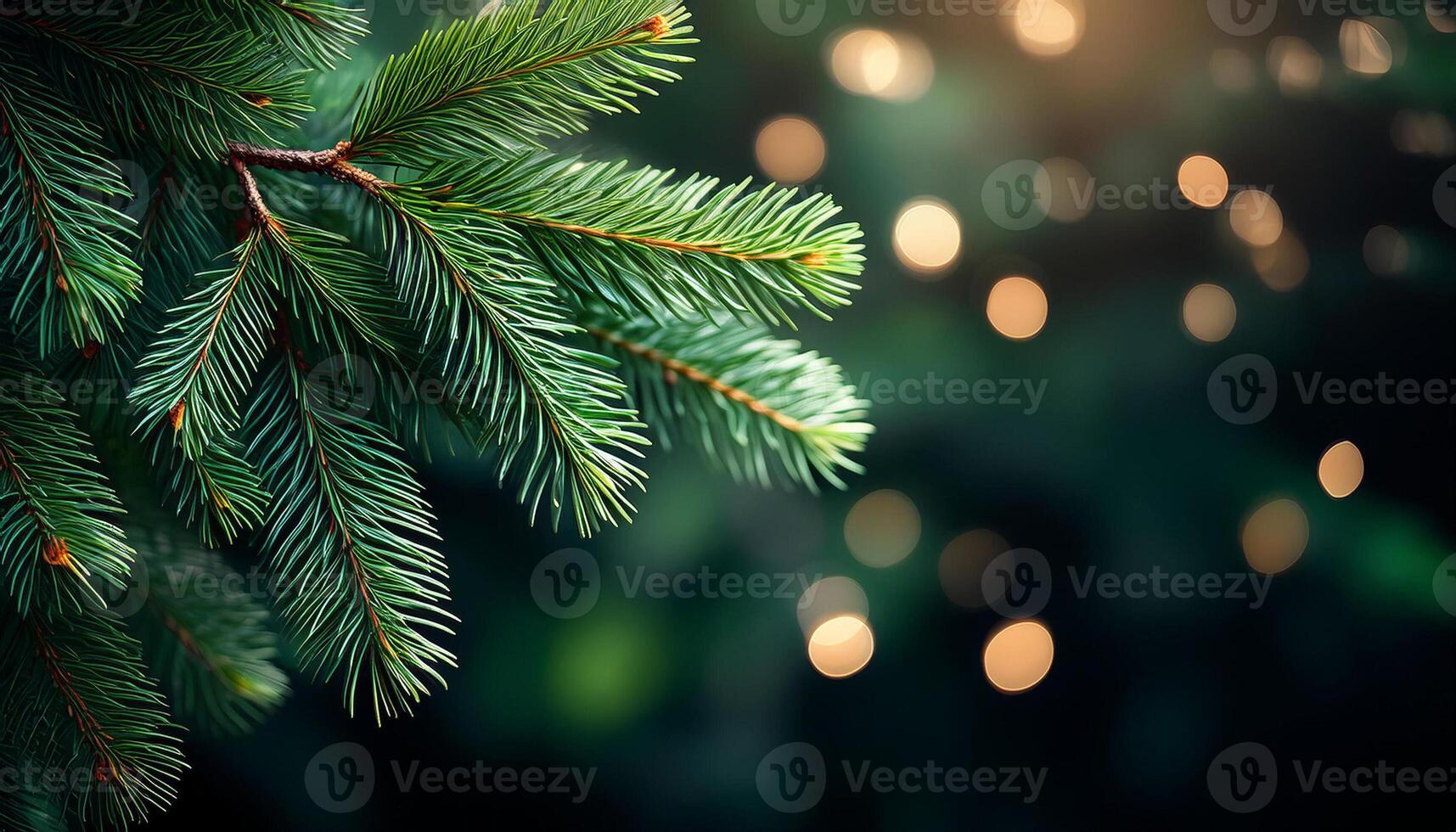 Fir tree branch with blur bokeh background for Christmas holiday copy space, photo