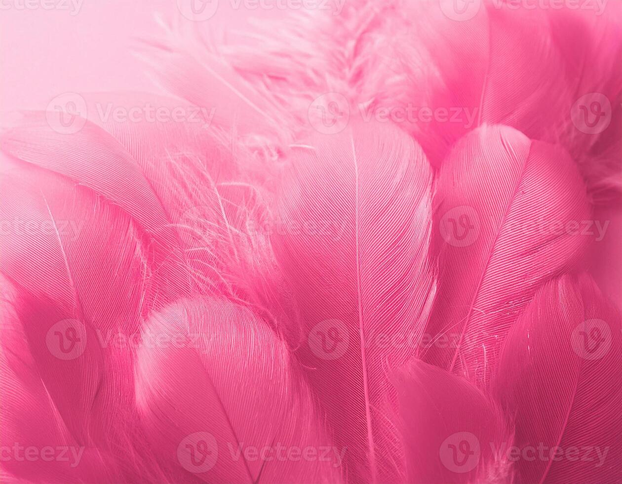 Pink feathers as background photo