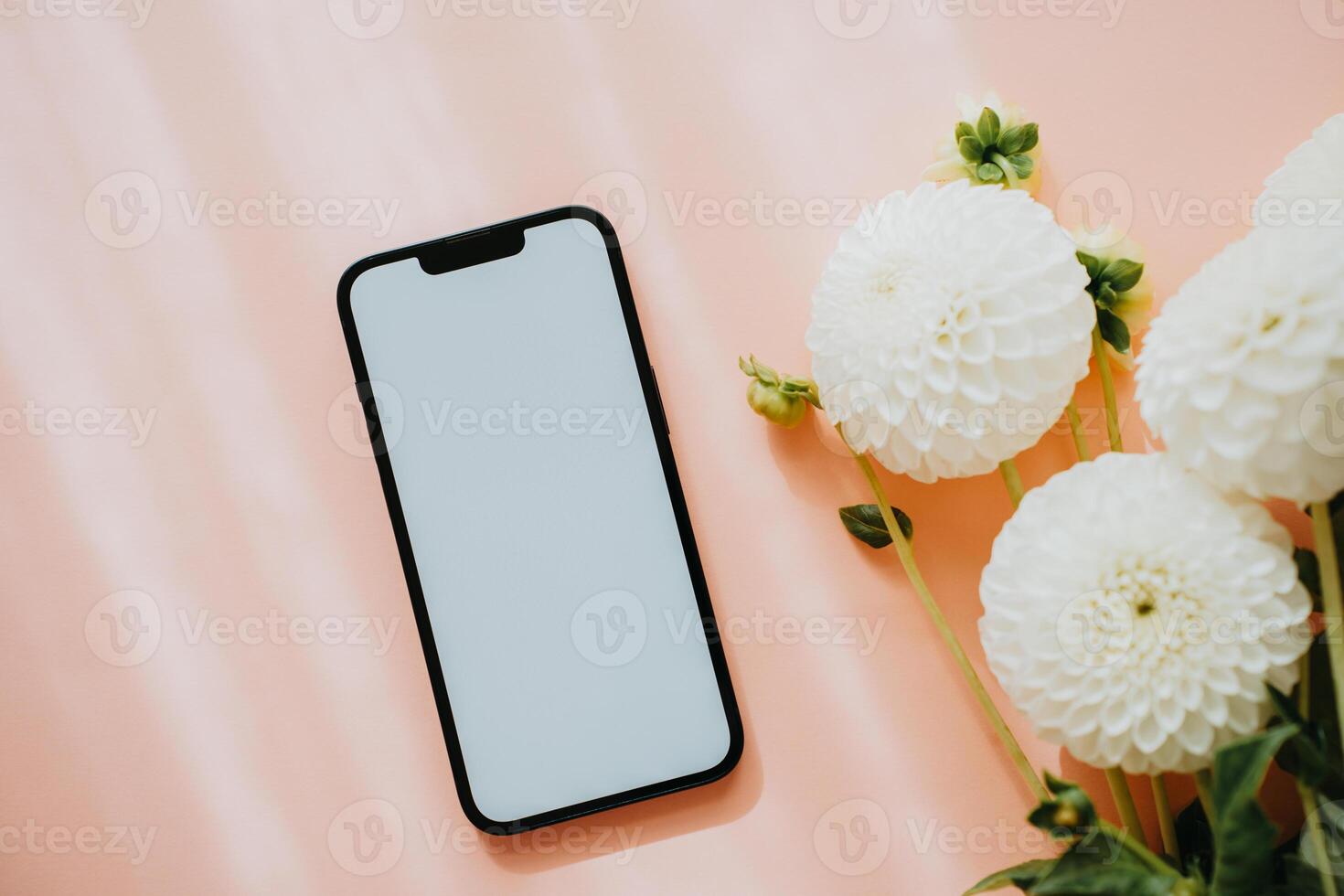 White blank path screen mobile phone and white dahlias flowers on pink background with shadows photo