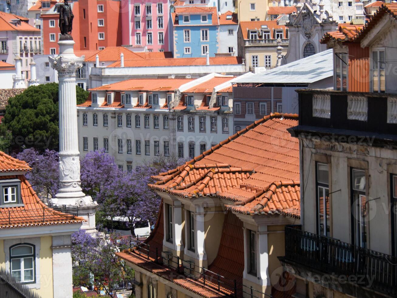 Aerial view of historical houses with red roofs photo