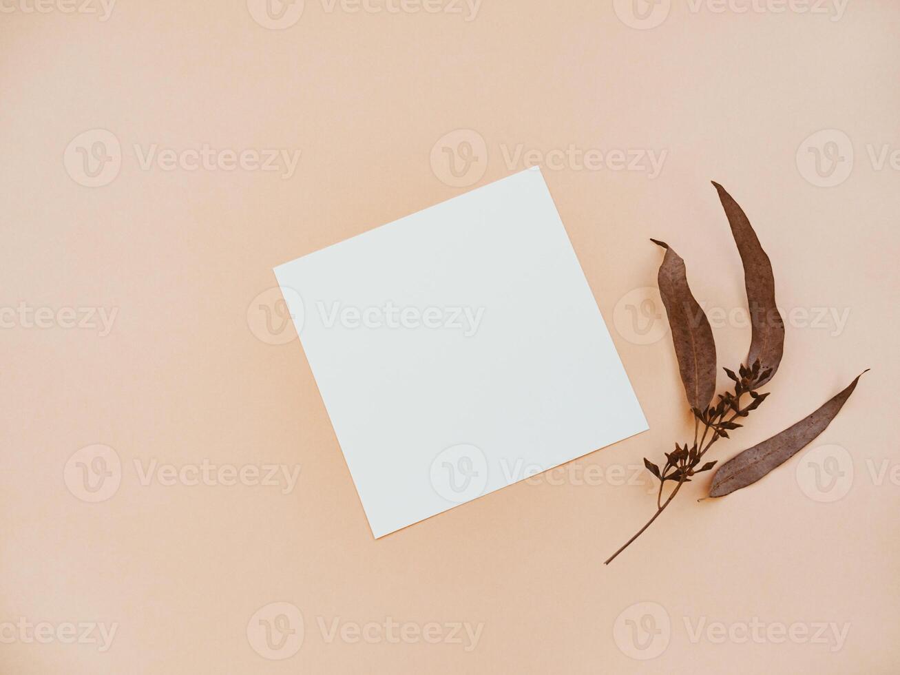 White blank paper square card mockup and dry eucalyptus leaves on beige background photo