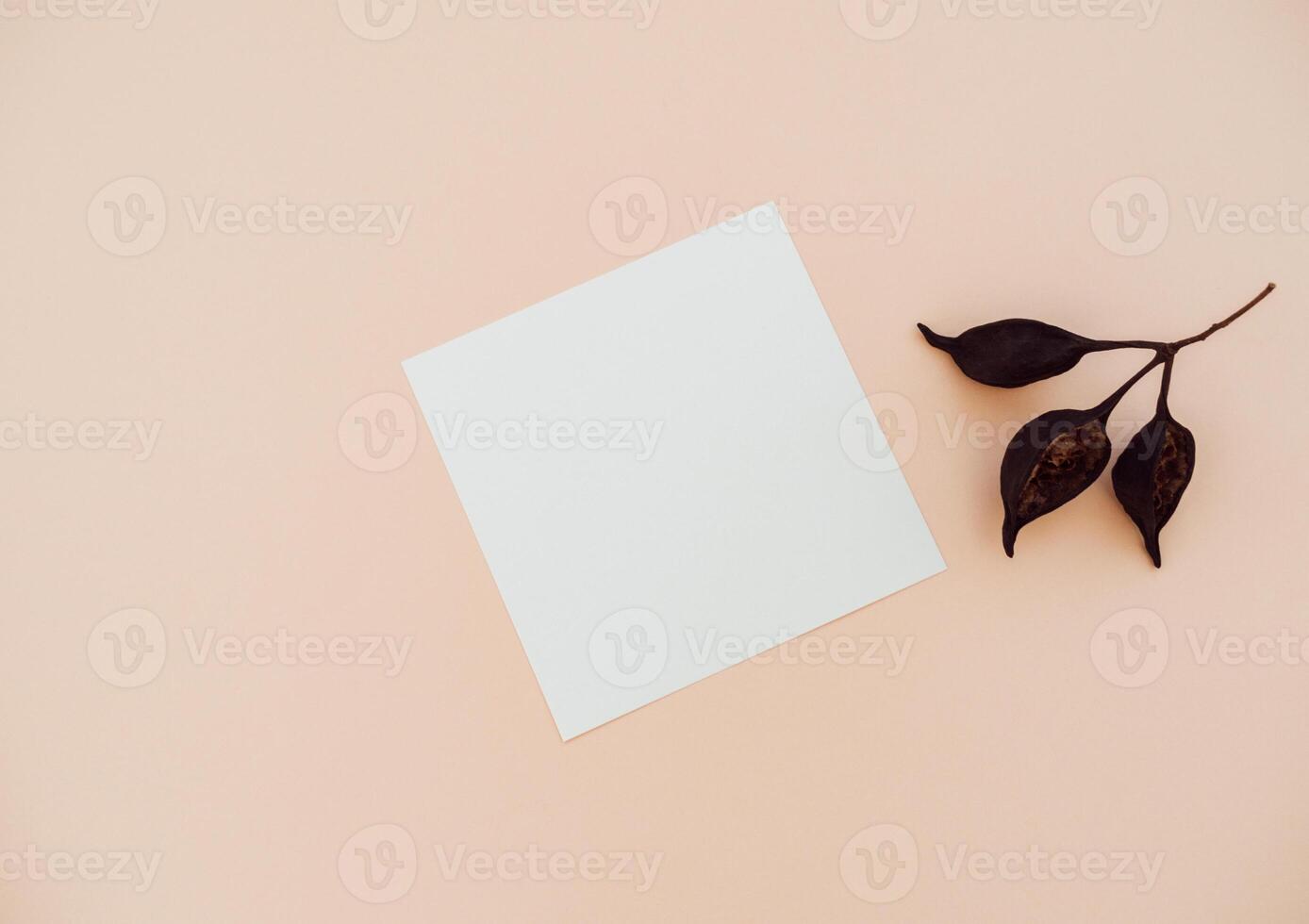 White blank paper square card mockup and dry brown branch on beige background. photo