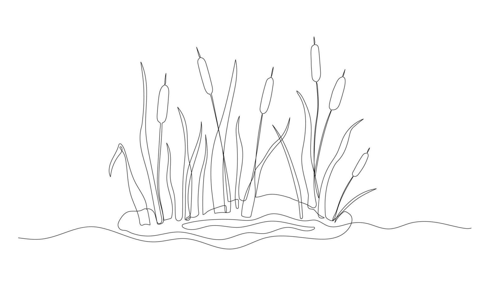 Reed one continuous line illustration. Hand drawn doodle drawing of pond on white background vector