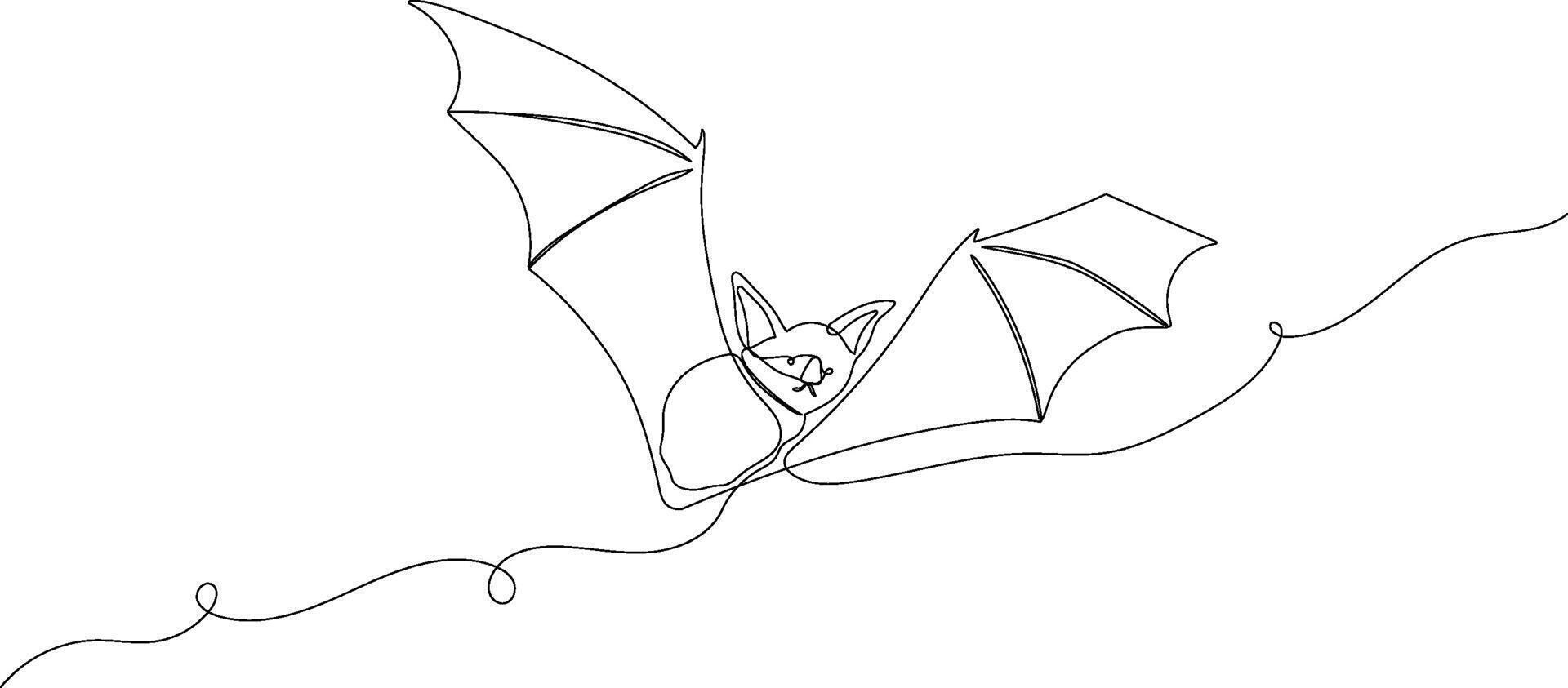 Bat one line illustration. continuous outline isolated sketch vector