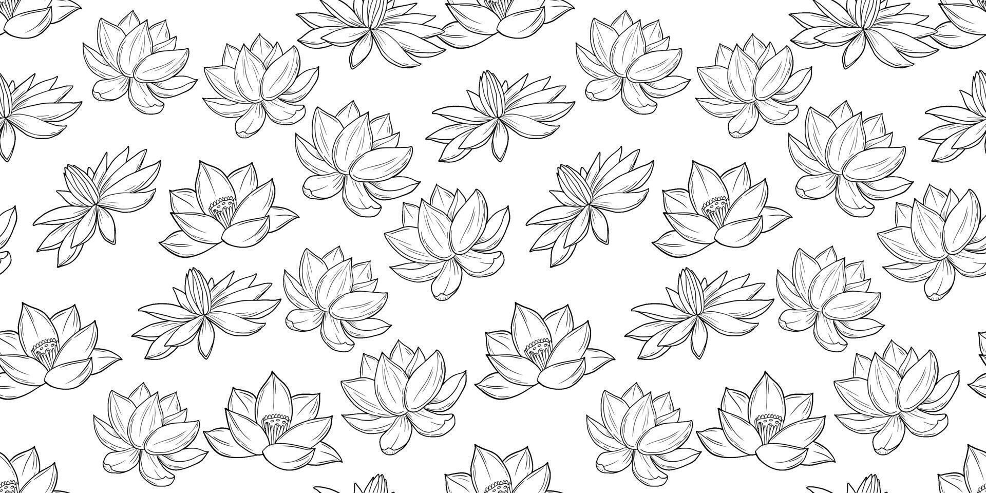 Seamless pattern with lotus flowers sketch. Botanical hand drawn line monochrome background vector