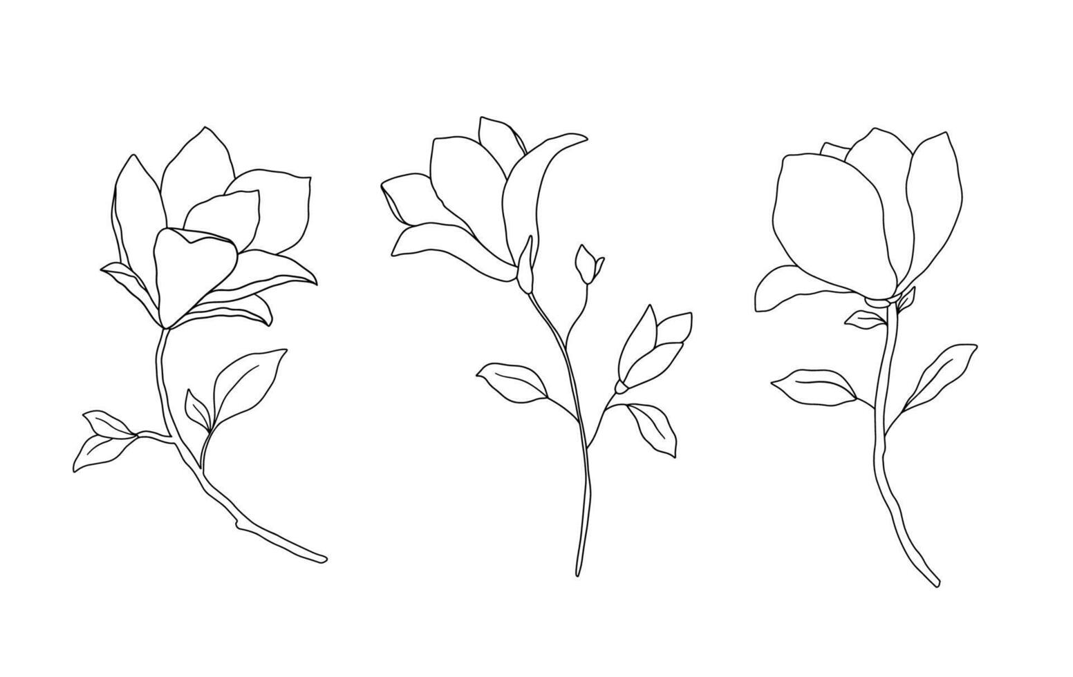 Magnolia line art illustration. Hand drawn black ink sketch isolated on white. Outline floral doodles set vector