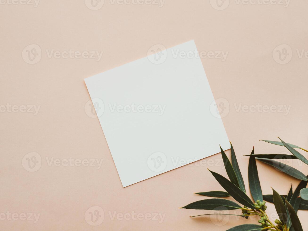 White blank paper square card mockup and green eucalyptus branch on beige background photo
