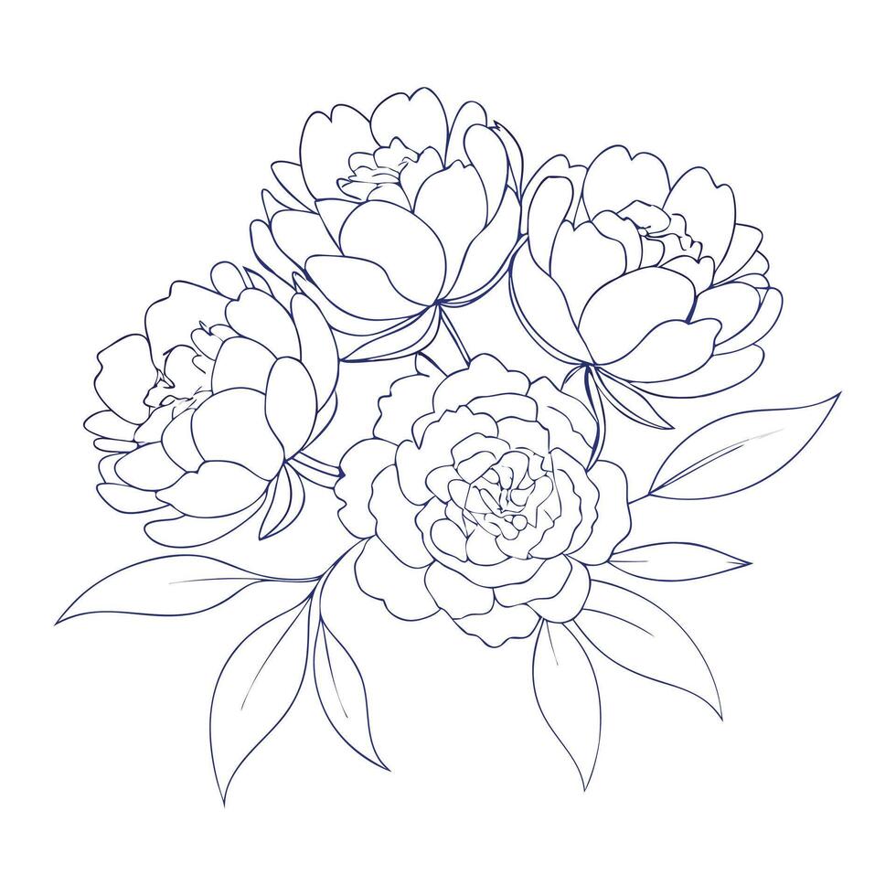 Peony flower coloring book page line art drawing for children vector