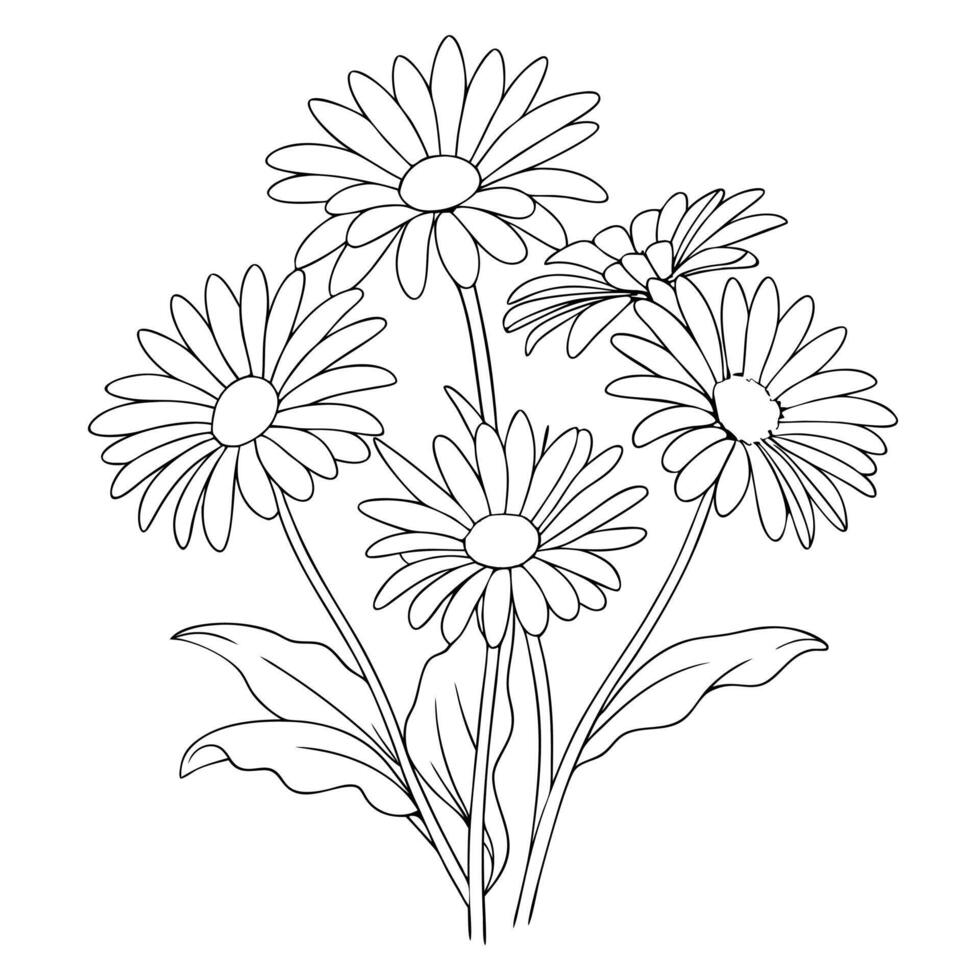 Daisy flower coloring book page line art drawing for children and adults vector