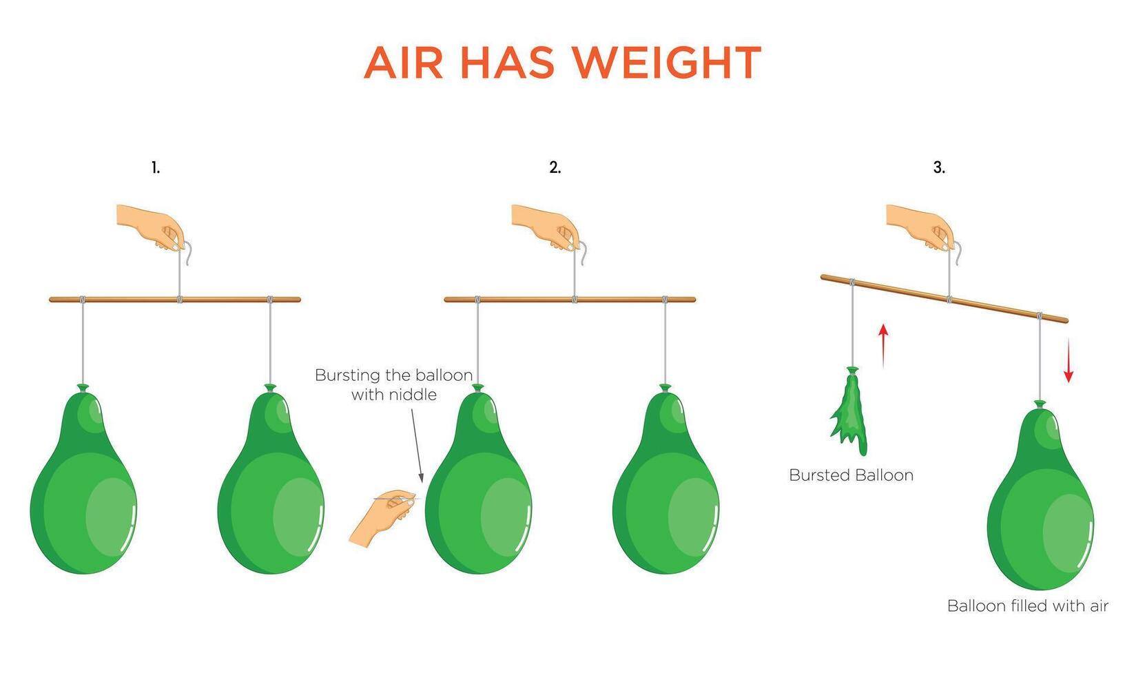 Air Has Weight Demonstrating with Two Balloons and a Needle vector