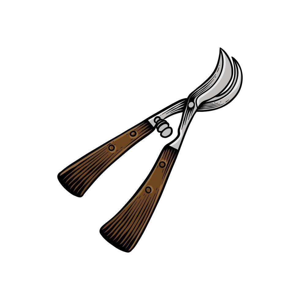 colored illustration of Pruning shears with a vintage look vector