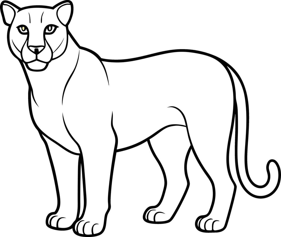 lion line art graphic design resource. Mountain Lion outline illustration. line drawing black and white design. vector