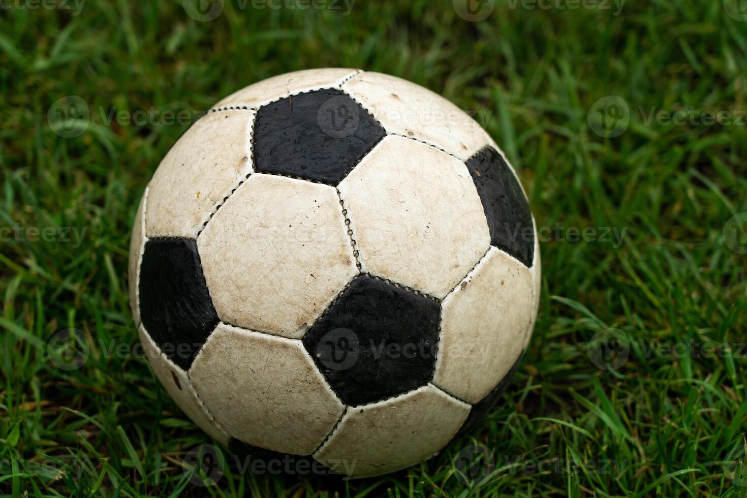 Old Ball On The Lawn photo