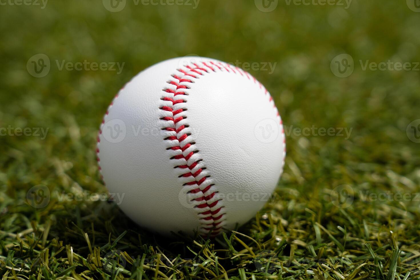Baseball white ball lies on a green lawn photo