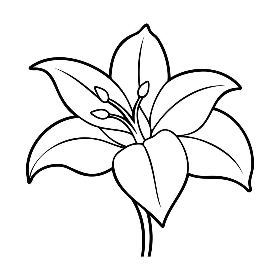 Black and white outline of an amaryllis flower vector