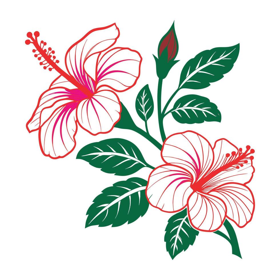 Hibiscus Flower Illustration. Vibrant Floral Artwork vector