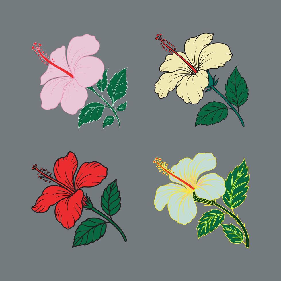 Hibiscus flower bundle in different color. elegant greeting card elements. vector