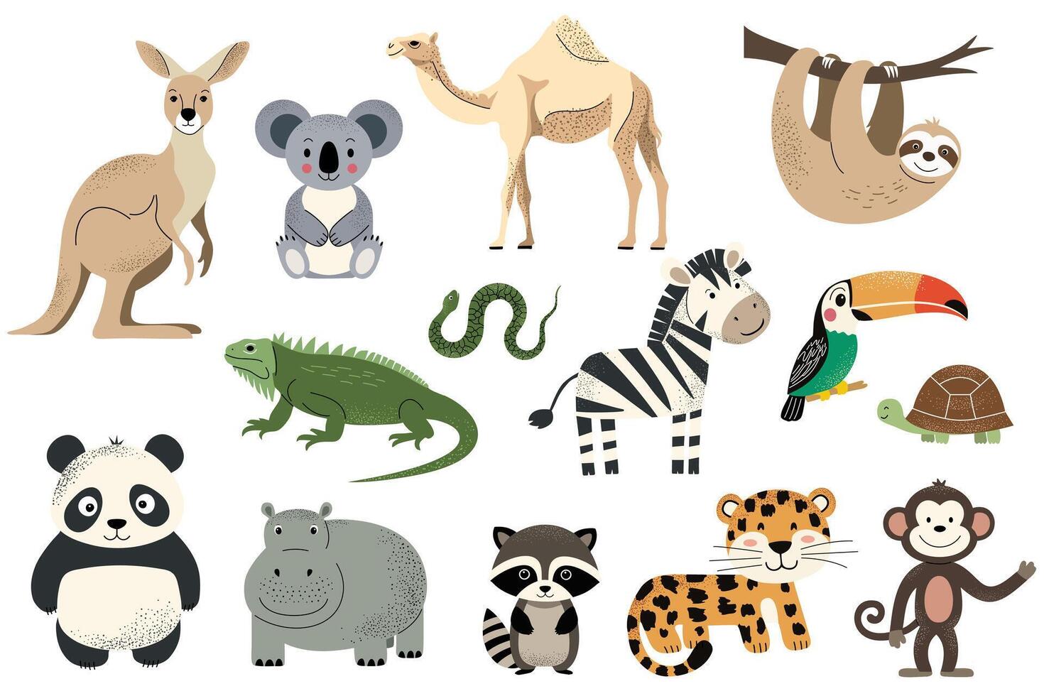 Wild animals. African zebra, leopard, koala, camel, sloth, iguana, kangaroo. Hand drawn safari animals set. vector
