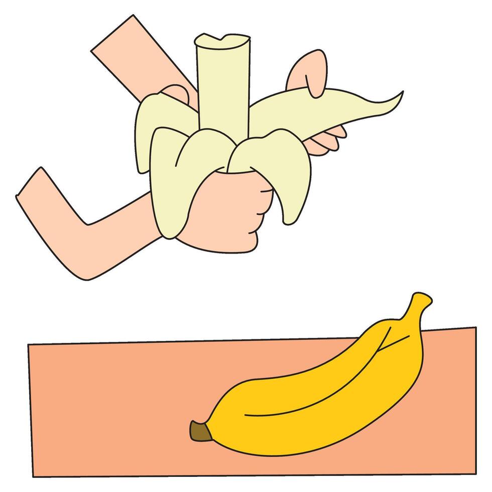 A hand holds a peeled yellow ripe banana vector
