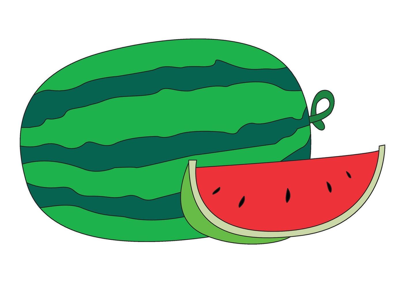 Watermelo isolated on a white background vector