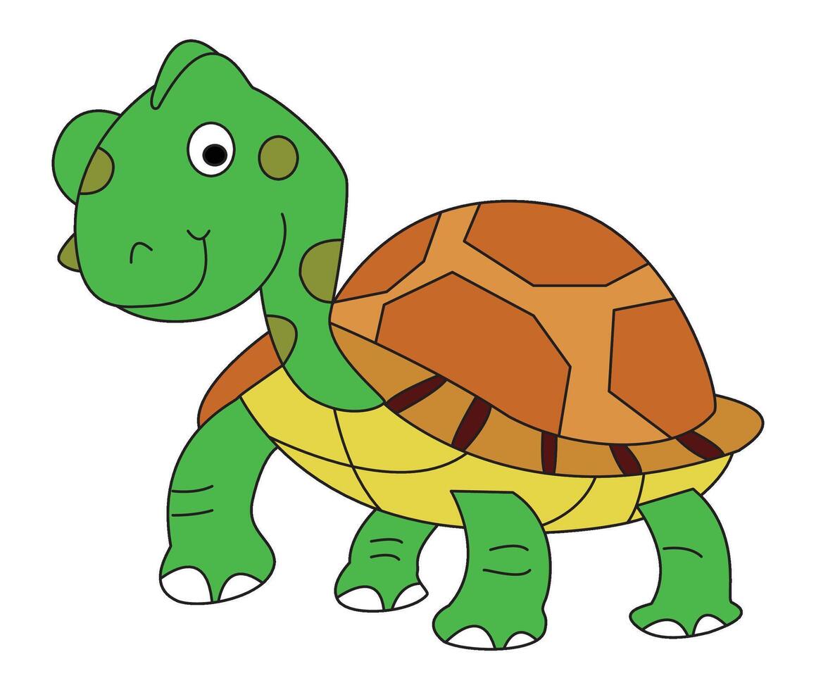 Turtle isolated on a white background vector