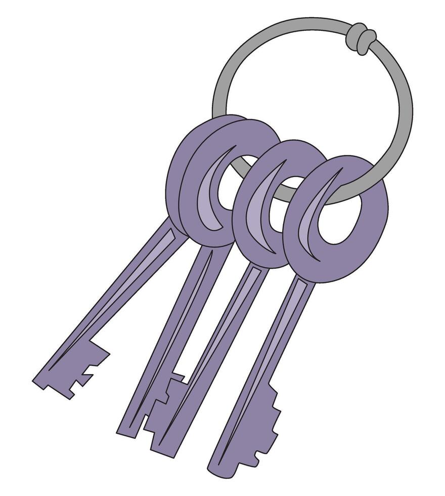 Door key isolated on white background vector