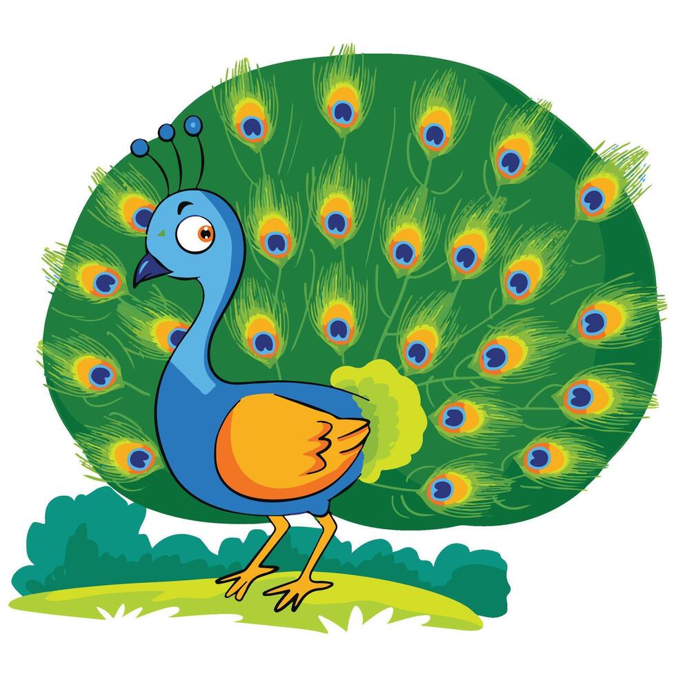 Peacock isolated on a white background vector