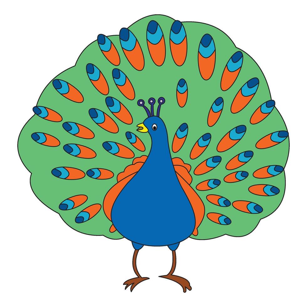 Peacock isolated on a white background vector