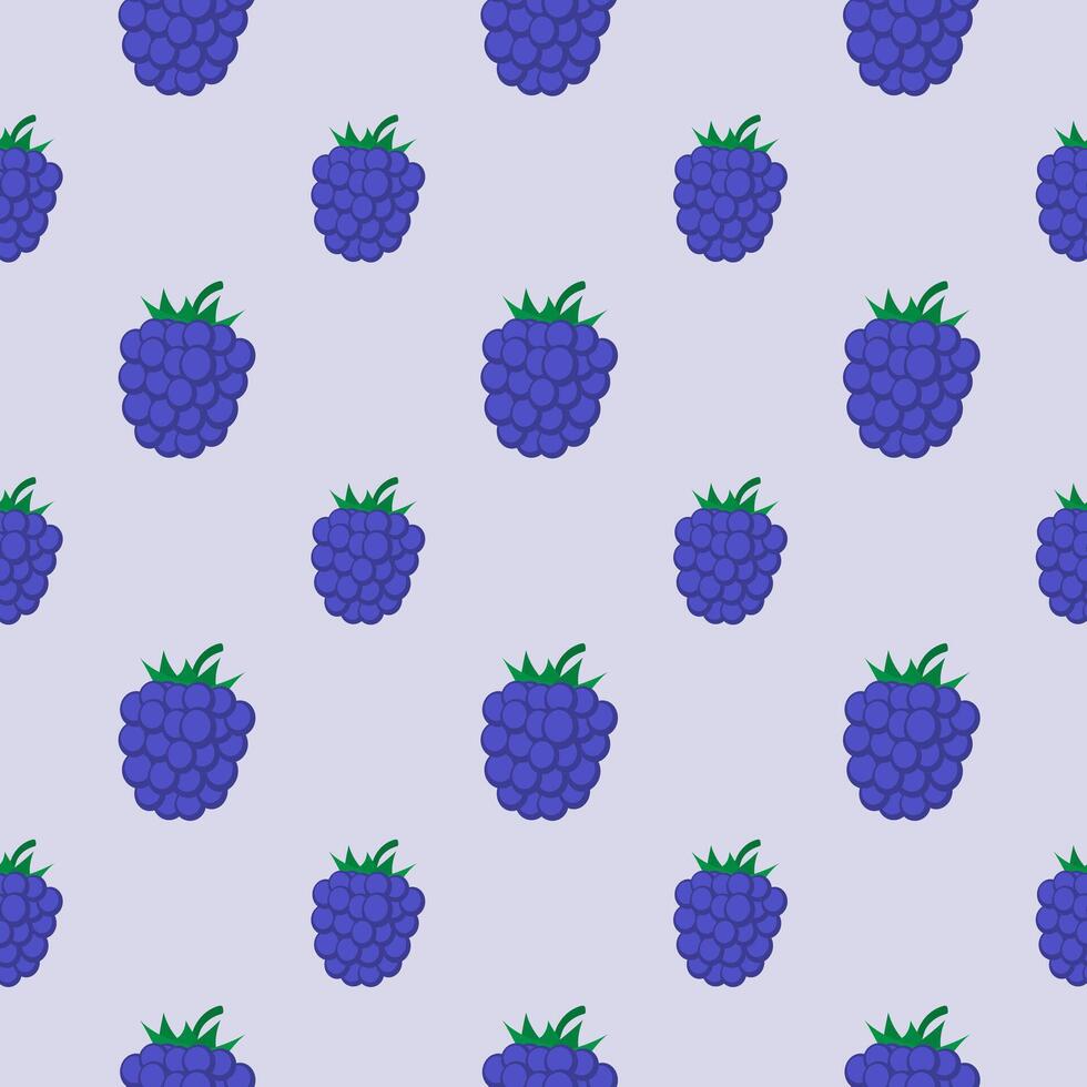 Seamless pattern with blackberry. illustration. vector