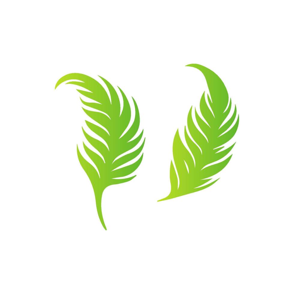 Two green leaves on a white background vector
