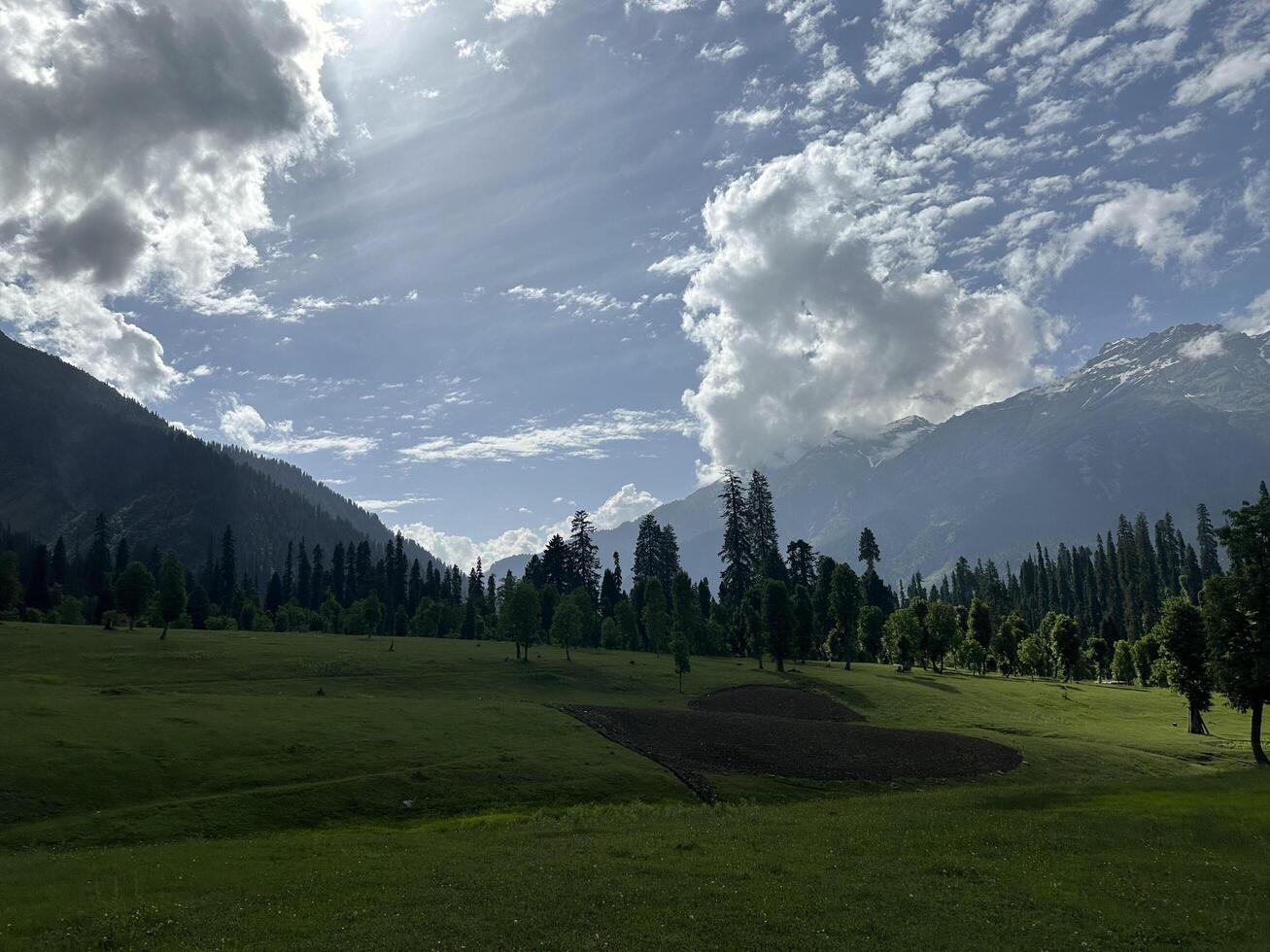 A grassy field with trees and mountains in the background photo