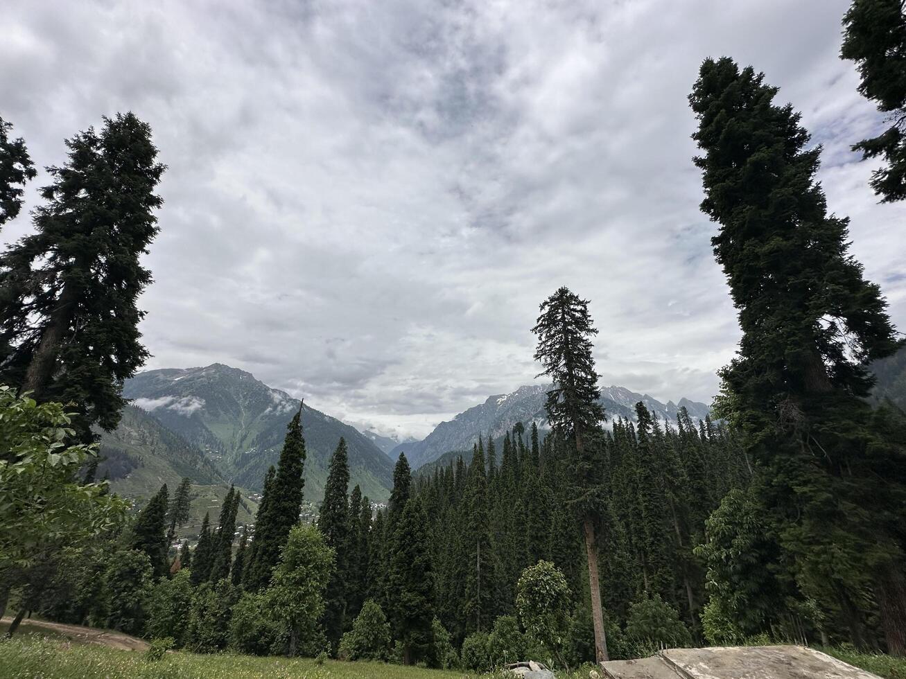 The view from the top of a mountain in the middle of a forest photo