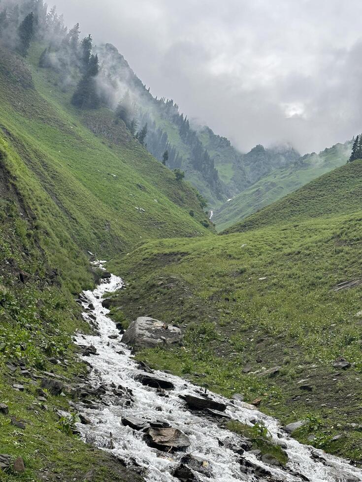 A stream runs through a grassy valley in the mountains photo