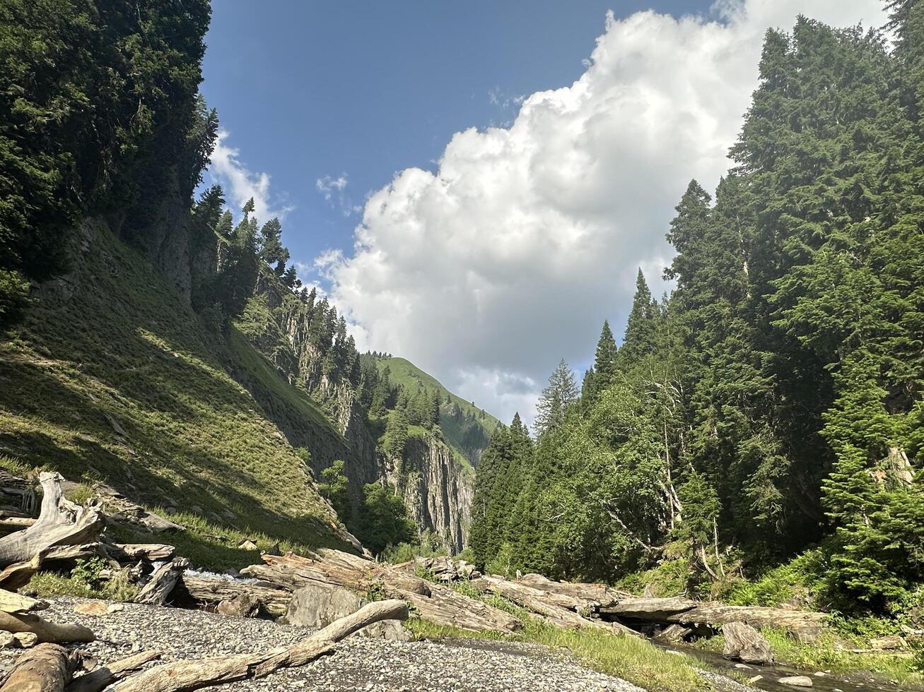 A river runs through a forest with rocks and trees photo