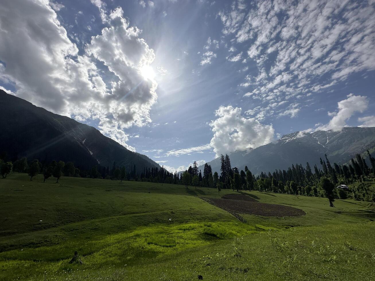 A field with trees and mountains in the background photo