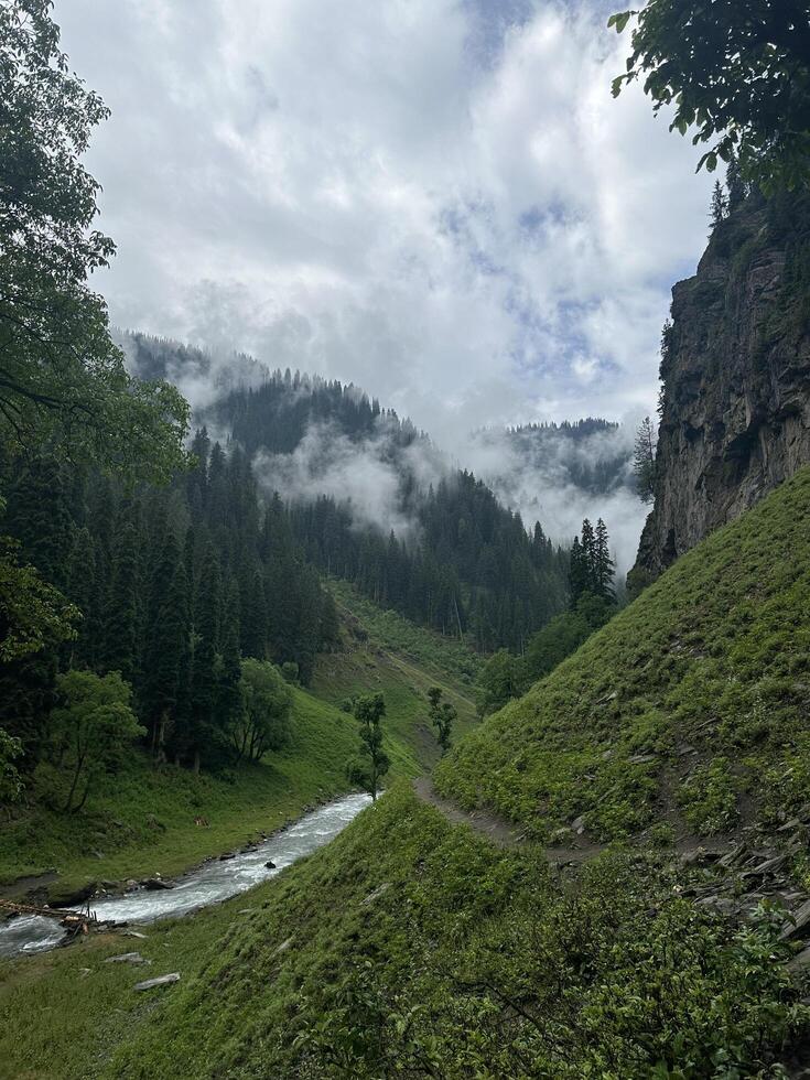 A river runs through a valley surrounded by trees photo