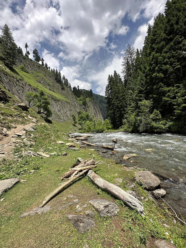 A river runs through a forest and mountains photo