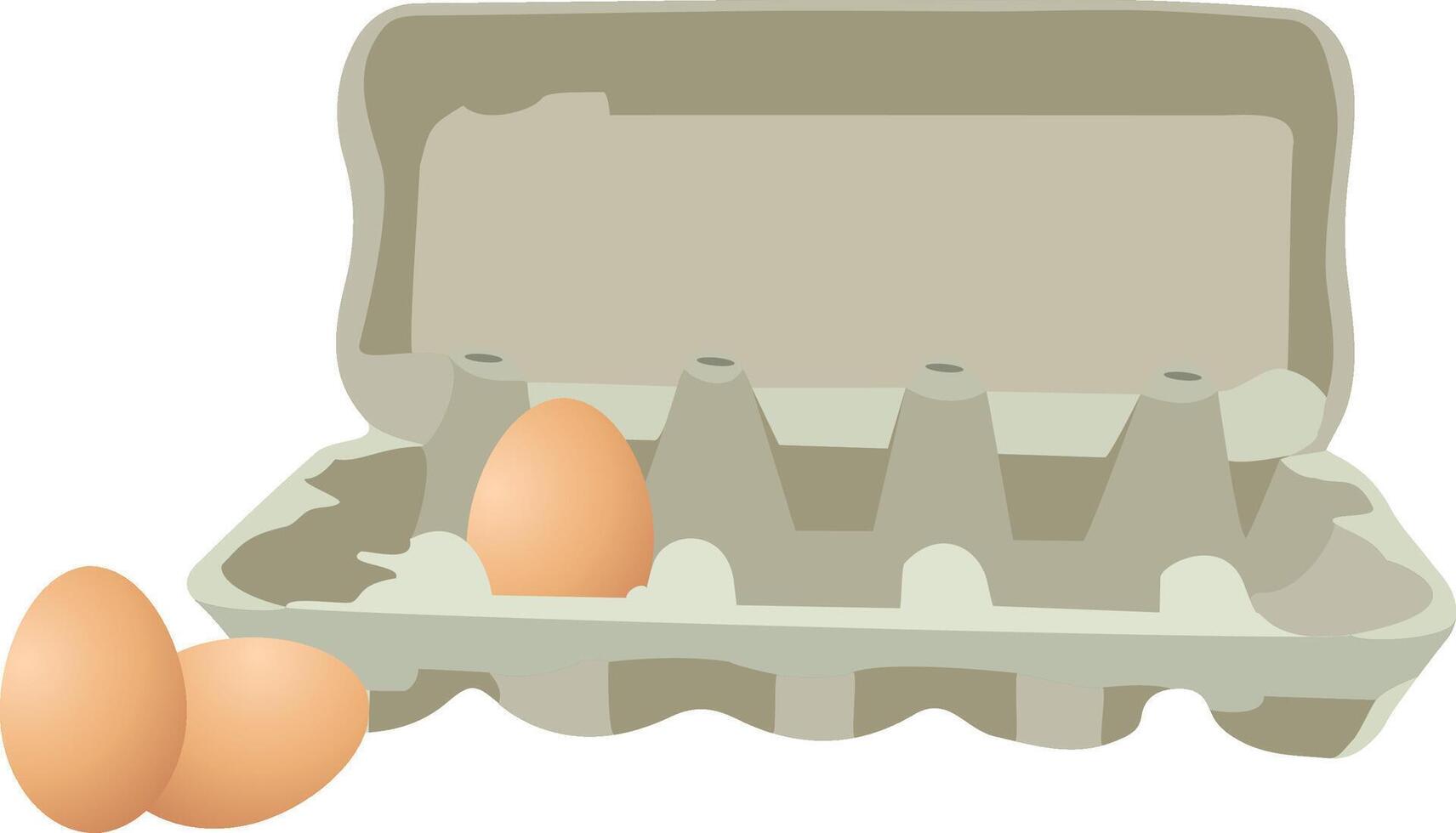 Eggs in a carton vector