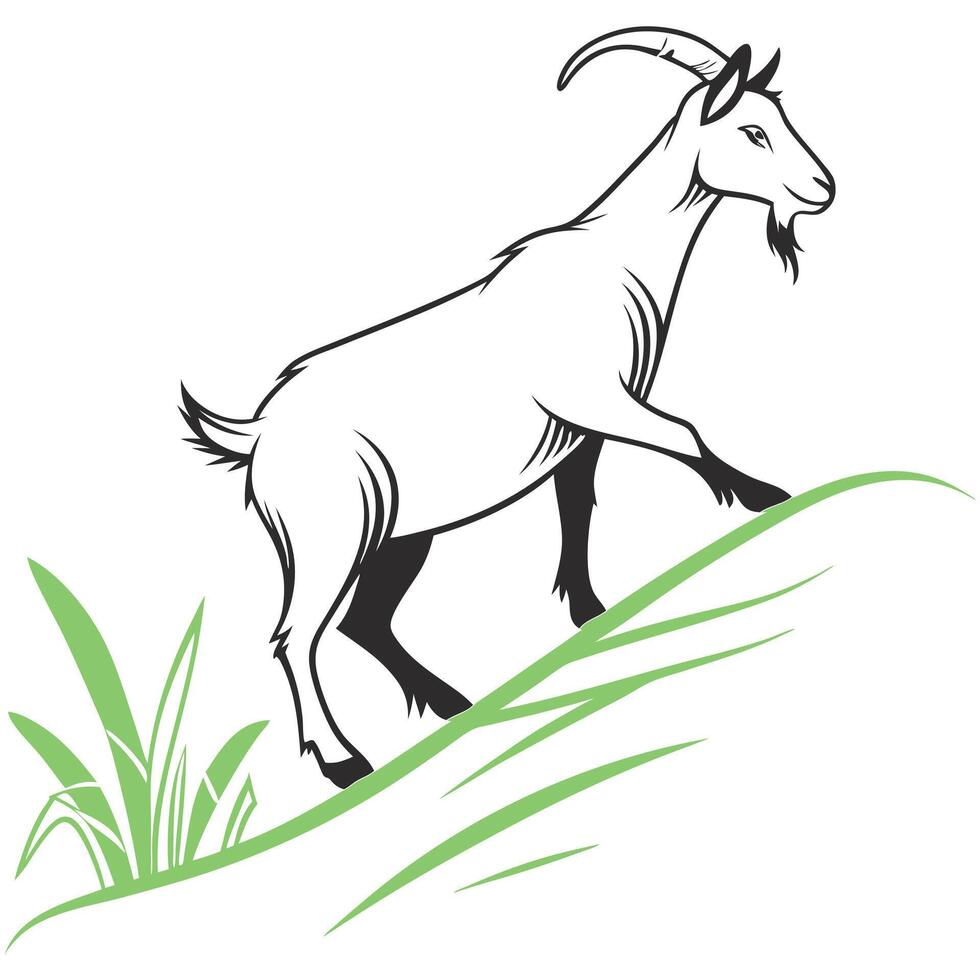 Goat on hill vector
