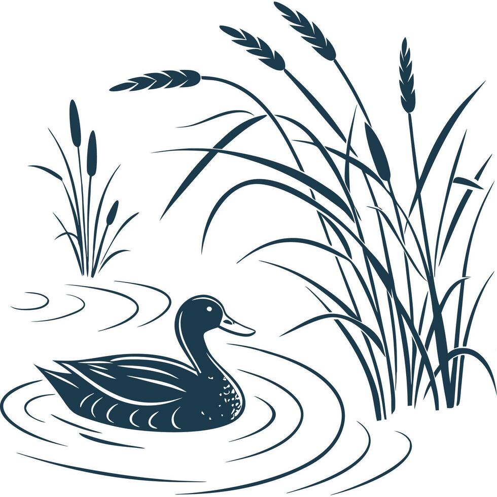 A duck swimming in the water with reeds vector