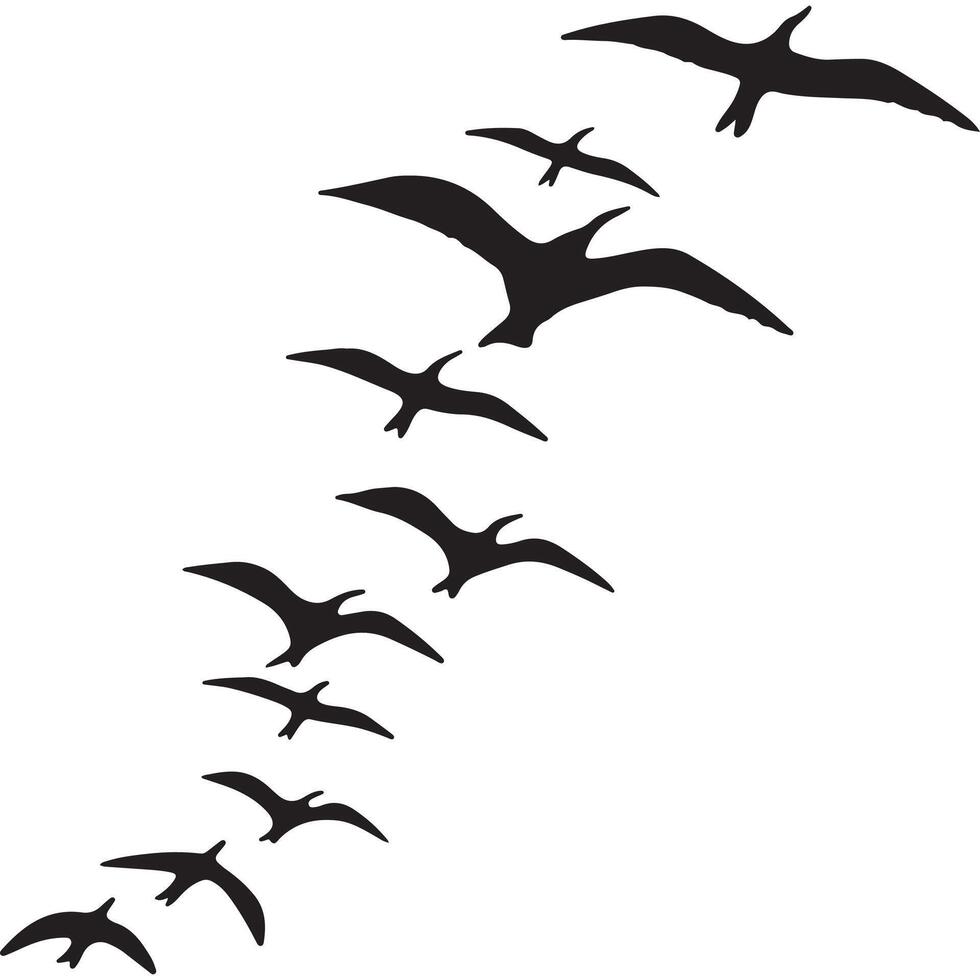 A flock of birds flying in the air vector