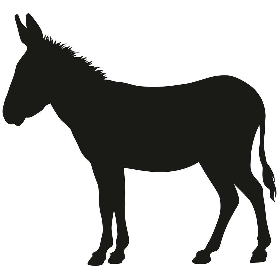 A silhouette of a donkey standing on a white background vector